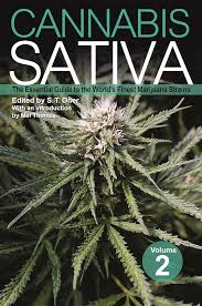 Attēlu rezultāti vaicājumam “Cannabis sativa”
