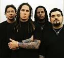 P.O.D. Picture 3
