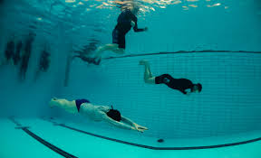 Image result for Notanx Freedive Club