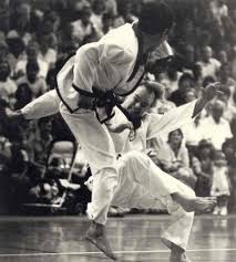 Image result for Chichester Tae Kwon Do