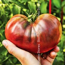 Afbeeldingsresultaat voor black sea man tomato