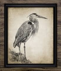 Image result for heron