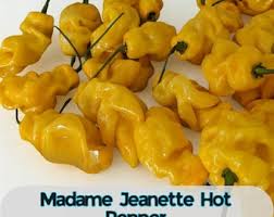 Afbeeldingsresultaat voor mme jeanette hot pepper