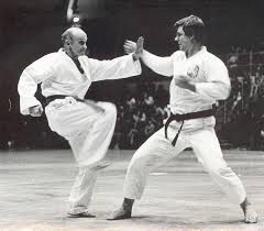 Image result for British Karate Shunen Jutsu