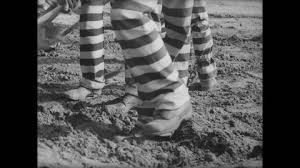 Image result for Freck Chain Gang
