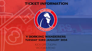 Image result for Dorking Wanderers F C