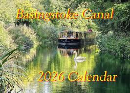 Image result for Basingstoke Sc