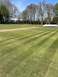 Image result for Saltwood Cricket Club