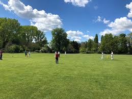 Image result for Witham Cricket Club