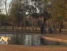 Congressman Bill Archer Park Dog Park