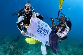 Image result for Seabug Divers