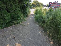 Image result for Woodmancote SMBC