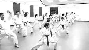 Image result for Harpenden JKA Karate