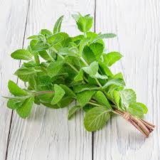 Image result for Melisse