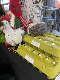 Attēlu rezultāti vaicājumam “Crex crex eggs”