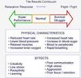 Fight or Flight Response - I-