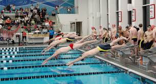 Image result for Sedgefield 75 Swimming Club