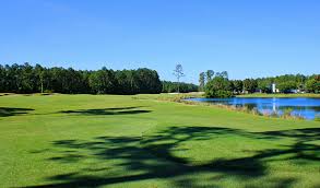Image result for South Kyme Golf Club