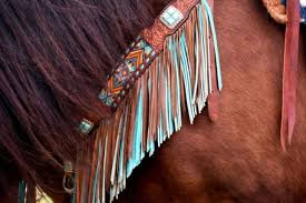 Image result for East Flegg Riding Club