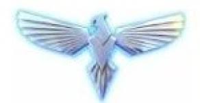 Image result for Hetton Hawks Cc