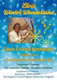 Image result for Clwb Criced A Bowlio Bethesda