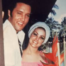 Attēlu rezultāti vaicājumam “Licea pusilla young”