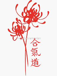 Image result for AikidoFlow