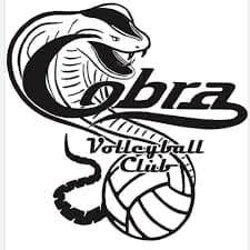 Image result for Chesterfield Cobras Volleyball Club