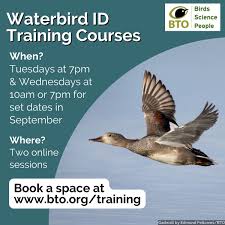 Image result for England Staffordshire Birding Club