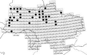 Attēlu rezultāti vaicājumam “Carex dioica”