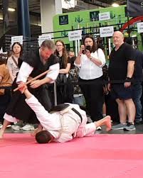Image result for Imperial College Shorinji Kempo Society