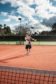 Image result for Dorking Lawn Tennis Club