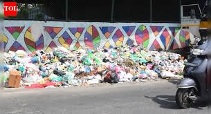 Image result for Bangalore Garbage
