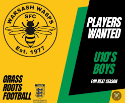 Image result for Warsash Wasps Sports & Football Club