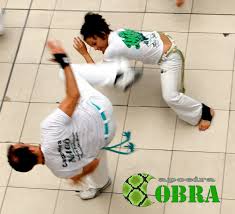 Image result for Cobra Capoeira Kids Club