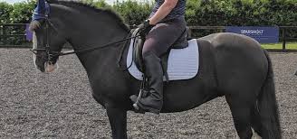 Image result for Winchester Riding Club