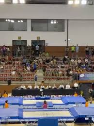 Image result for Edgbarrow Trampoline Club