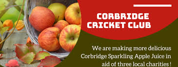 Image result for Corbridge Cricket Club