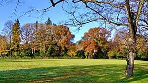 Image result for Shottermill Cricket Club