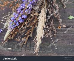 Attēlu rezultāti vaicājumam “Carex dioica male flower”