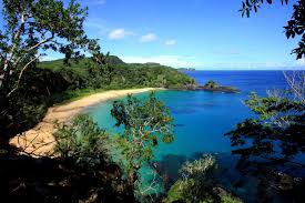 Image result for fernando de noronha