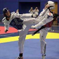 Image result for Quest Taekwondo