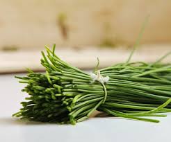 Image result for Schnittlauch