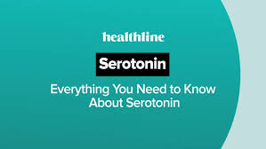 Image result for seotonie