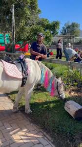 Image result for The Riding Centre