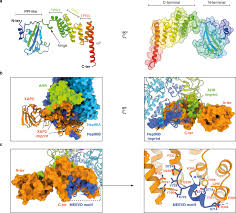 Image result for HTRPC