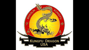 Image result for Dragon Wushu Club