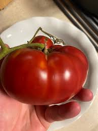 Afbeeldingsresultaat voor millionaire tomato