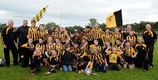 Image result for Mcquillan Gac