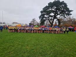 Image result for Annadale Striders Ac